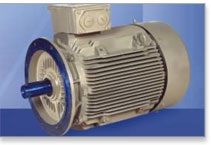 Bharat Bijlee Motors